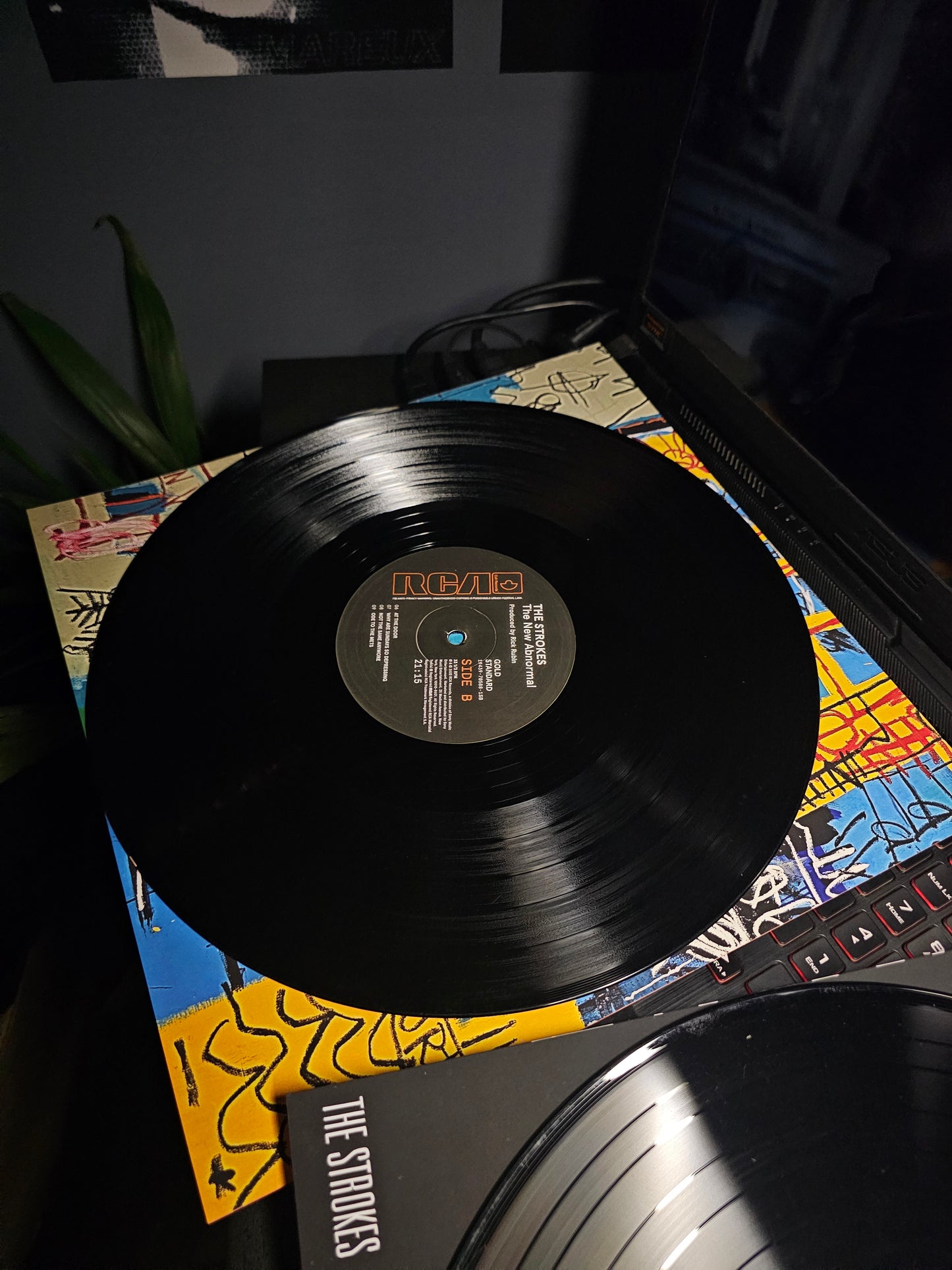 VINYL RECORDS - THE STROKES