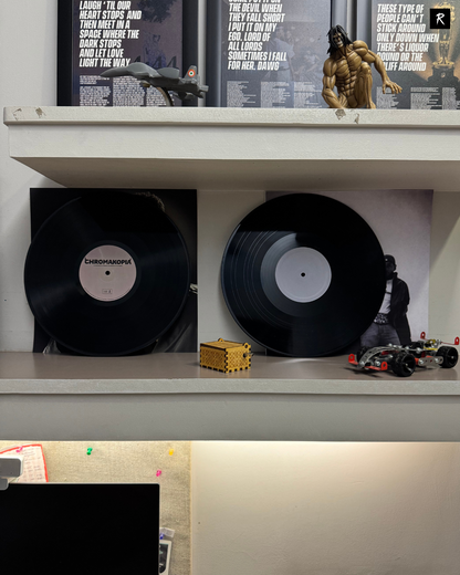 CUSTOM VINYL RECORDS - WALL DECOR