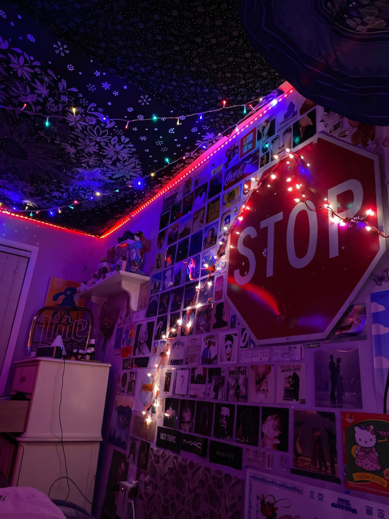 Stop Sign - Aesthetic Road Signs - Room Decor – Reawaken Theory