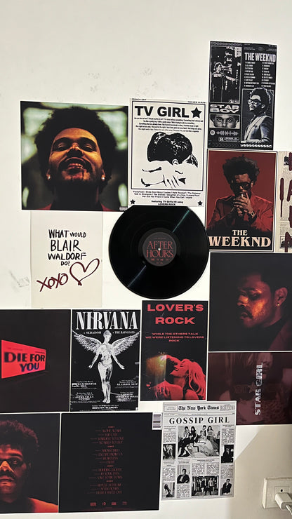 CUSTOM WALL DECOR SET - ALBUM COVER POSTERS AND VINYL RECORDS